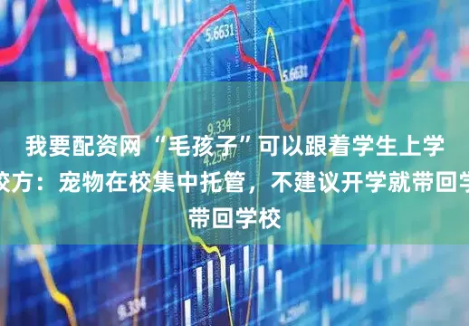 我要配资网 “毛孩子”可以跟着学生上学？校方：宠物在校集中托管，不建议开学就带回学校